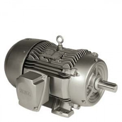 Motor Siemens Nema Premium Sd 324T 40Hp 4Polos Sf 1.15 400V 50Hz