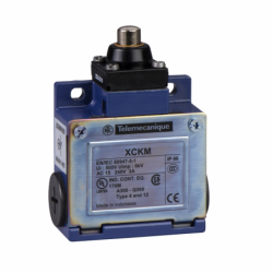 Limit Switch Pulsador